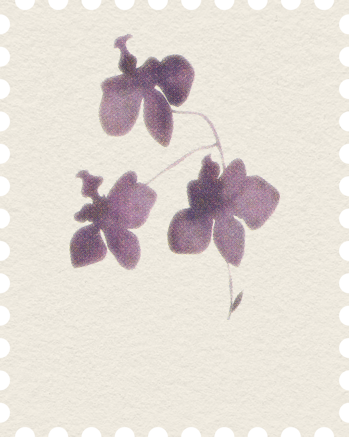 Postage stamp of three mauve orchids on cream paper